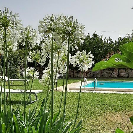 B&B Masseria Sant'Angelo Antonelli Eksteriør bilde